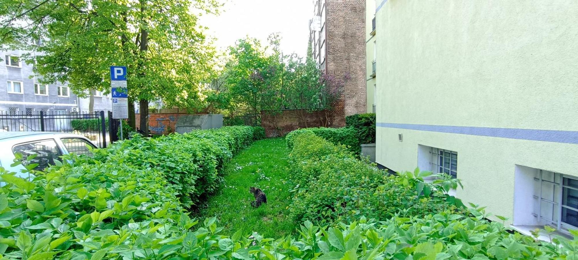 Katarzynka Gdansk Stare Miasto Exteriör bild